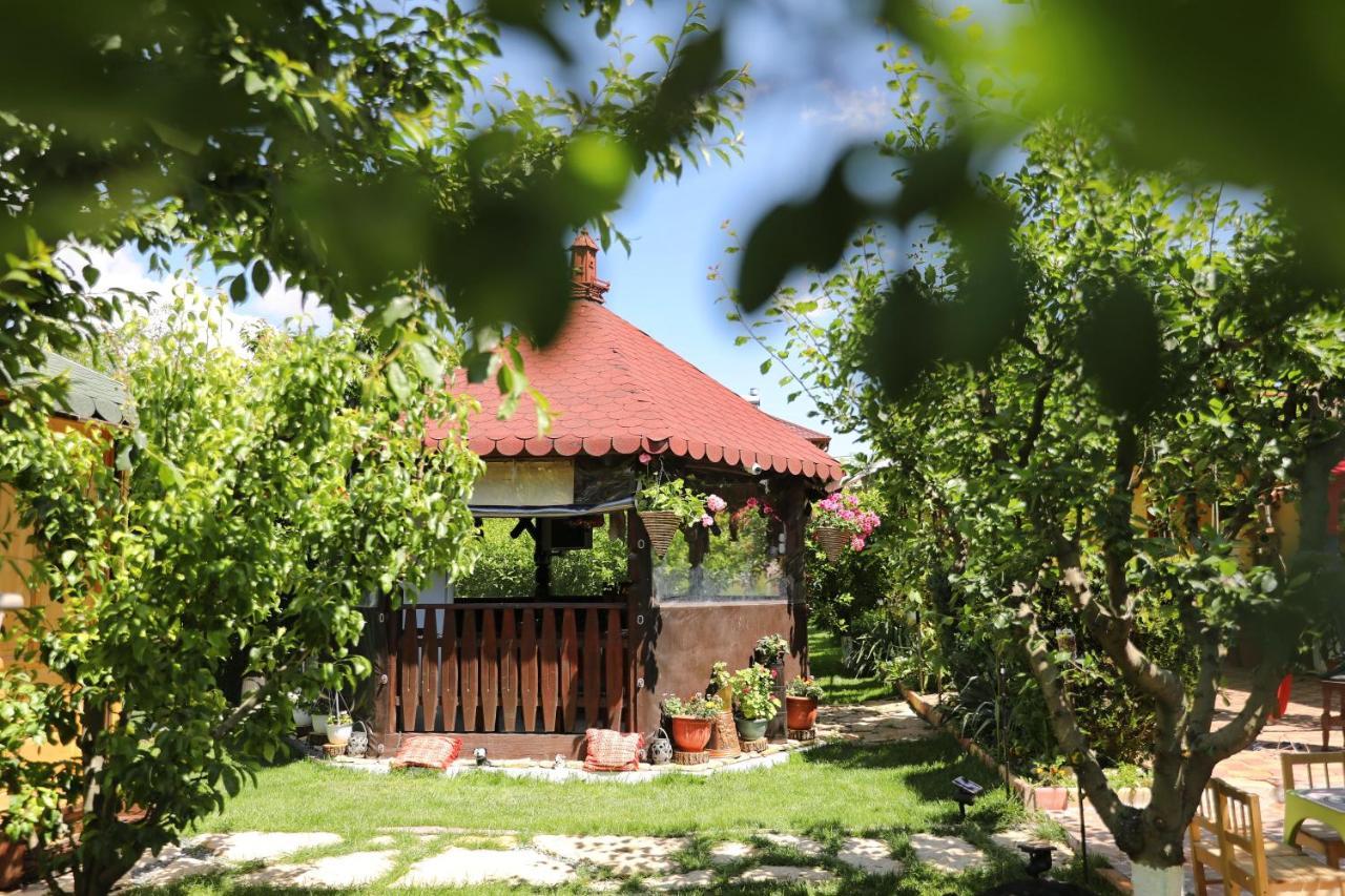 Casa Nita Villa Corbu  Kültér fotó
